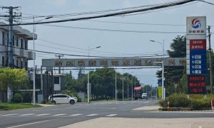 被踢出董事会的“稀土大王”：仍在宜兴老家，会时常到公司主持工作