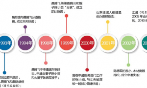 “中国过去10年最大的奇迹”，正在失去支点