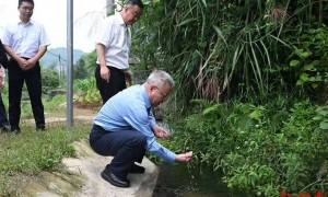 中央巡视组交办问题，省委书记赴现场督导整改