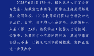 武汉大学发生故意伤害案致3人受伤，警方通报：嫌犯因学业不顺行凶