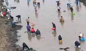 河南鹤壁有人下河摸金摸铜钱？当地回应