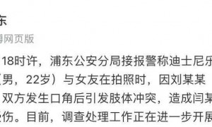 迪士尼乐园打架事件，对孩子动手不能忍