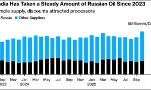 “印度承诺不再买了?”俄印回应