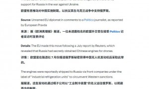 左右俄乌战局,一个意外足矣,中国真正的实力,德国终于领教到了