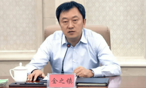 打虎!金之镇被查